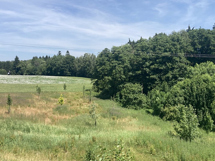 Prodej pozemku, 3 130 m² (2 z 10)
