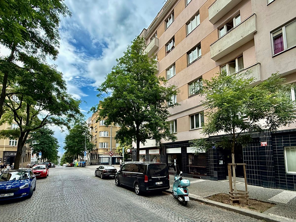 Pronájem bytu 1+1 56 m²