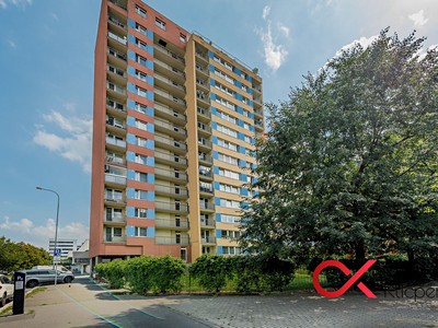 Pronájem  pokoje 17 m²