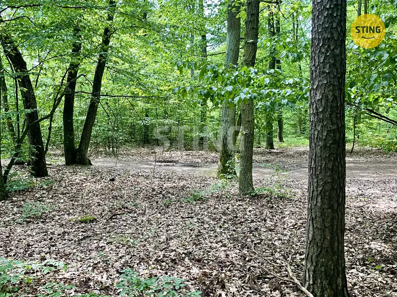 Prodej lesa 4307 m², Brno – náhled fotky 2