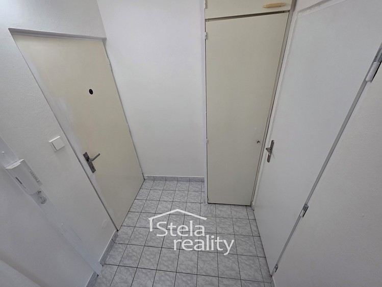 Pronájem bytu 1+kk, 29 m² (7 z 9)