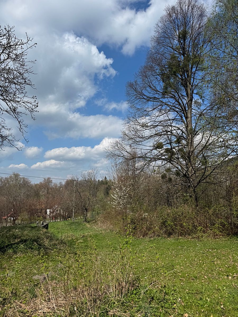 Prodej rodinného domu 196 m², pozemek 5697 m² – fotografie 3