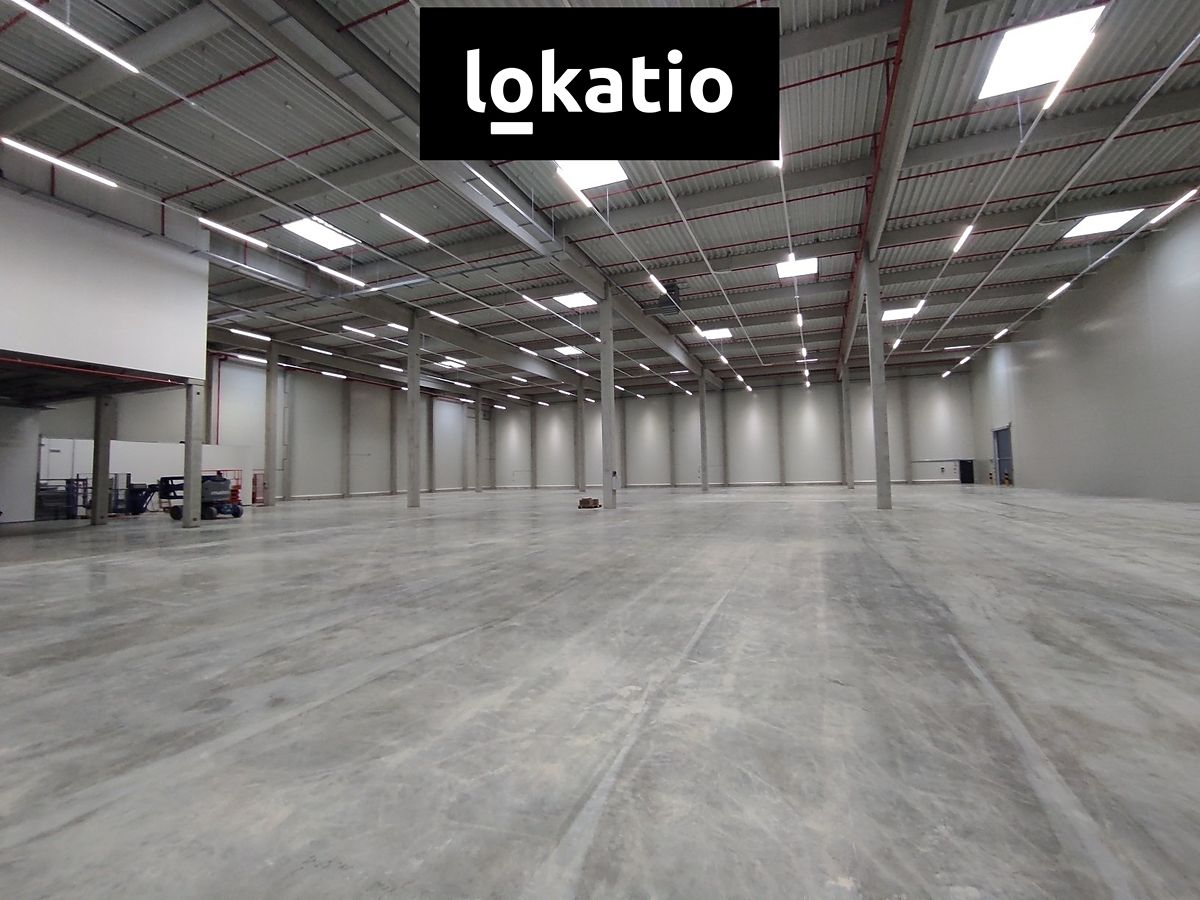 Pronájem skladového prostoru 3858 m²