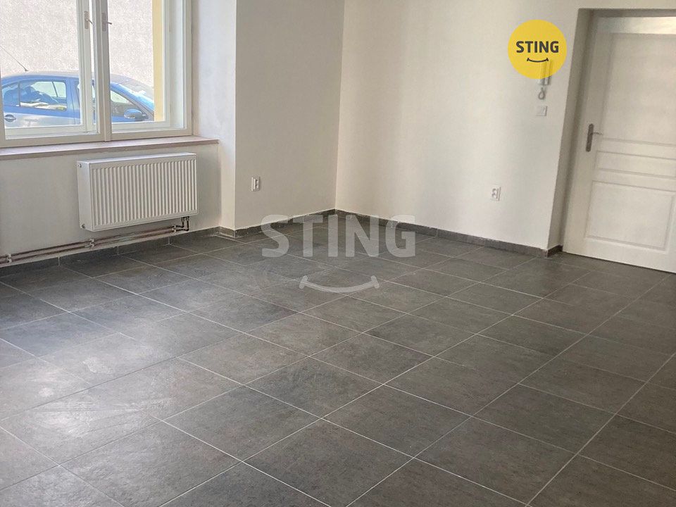 Pronájem bytu 1+1 63 m²