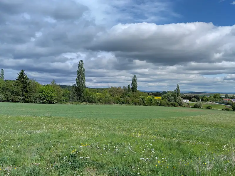 Prodej stavebního pozemku 2435 m², Dubno – náhled fotky 3