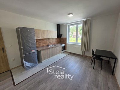 Pronájem bytu 1+kk 45 m²