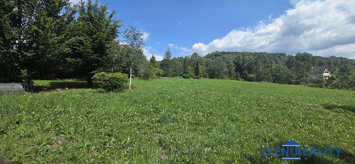 Prodej stavebního pozemku 5360 m² – fotografie 3