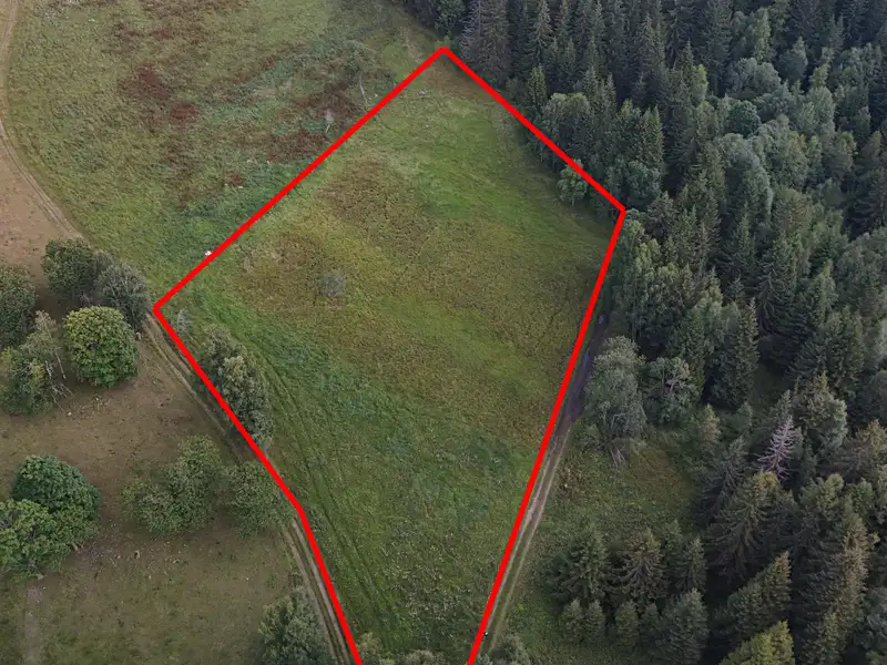 Prodej zahrady 8891 m², Borová Lada – náhled fotky 1
