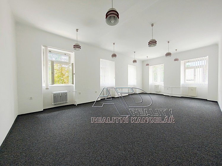 Pronájem komerčního prostoru, 210 m² (4 z 34)