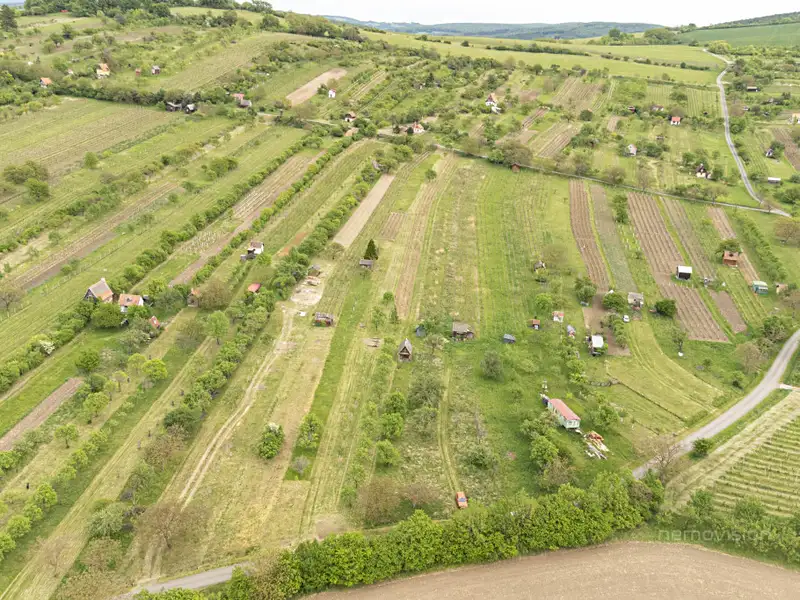 Prodej sadu, vinice 3526 m², Strážnice – náhled fotky 2