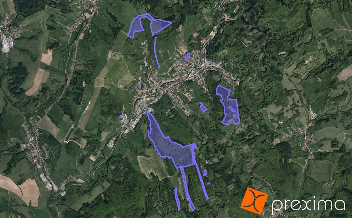 Prodej podílu 1/4 lesa 21088 m²