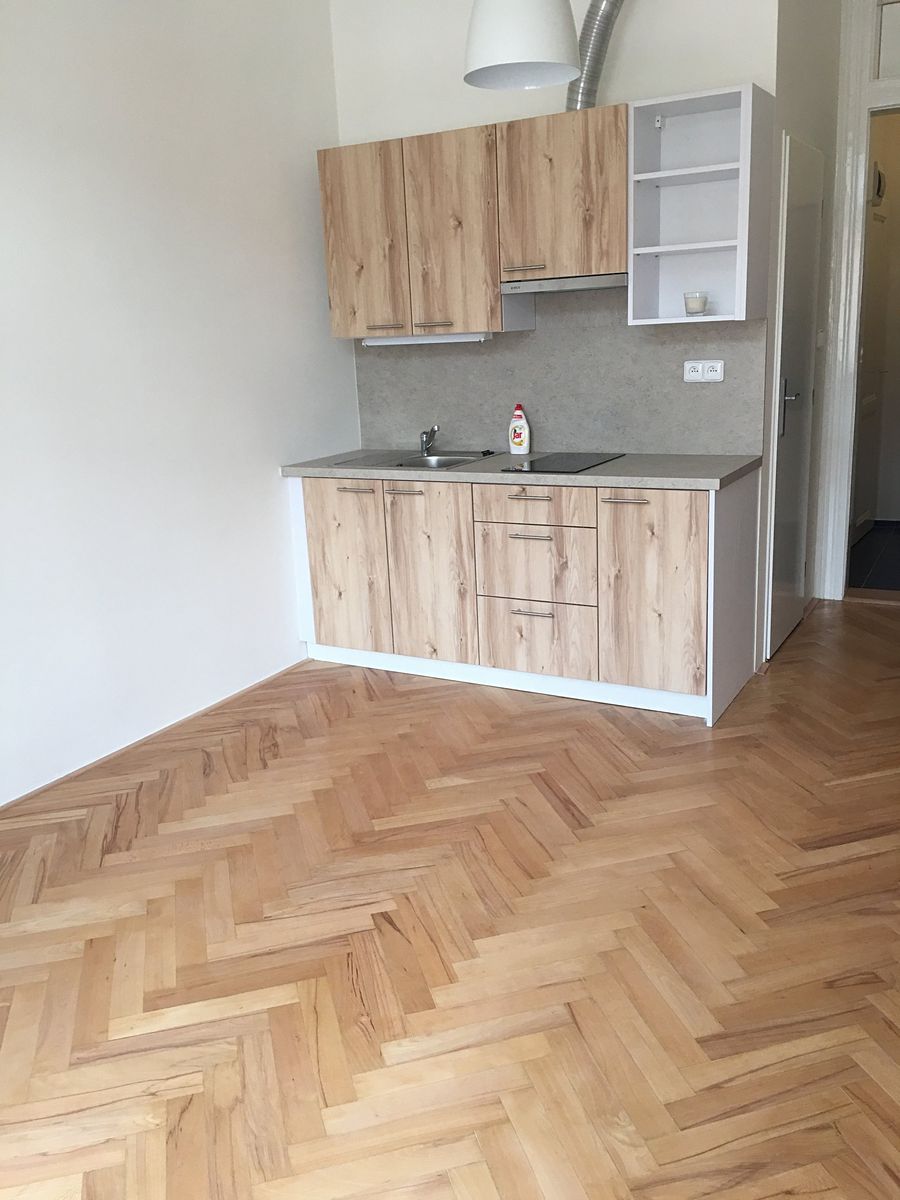 Pronájem bytu 1+kk 24 m²