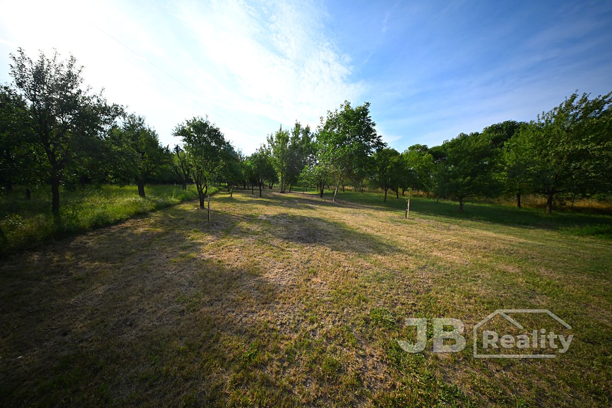 Prodej zahrady 1169 m²