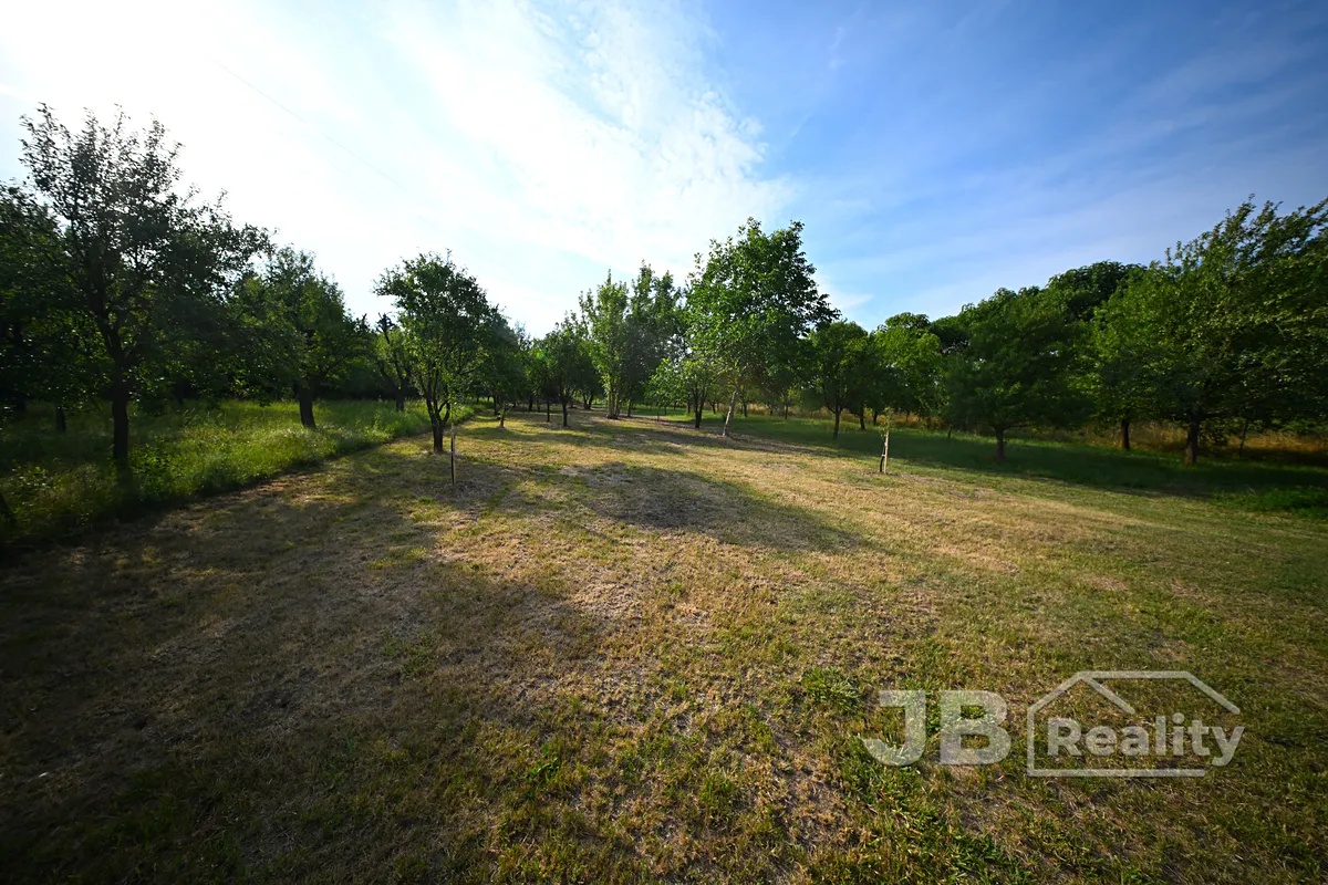 Prodej zahrady 1169 m²