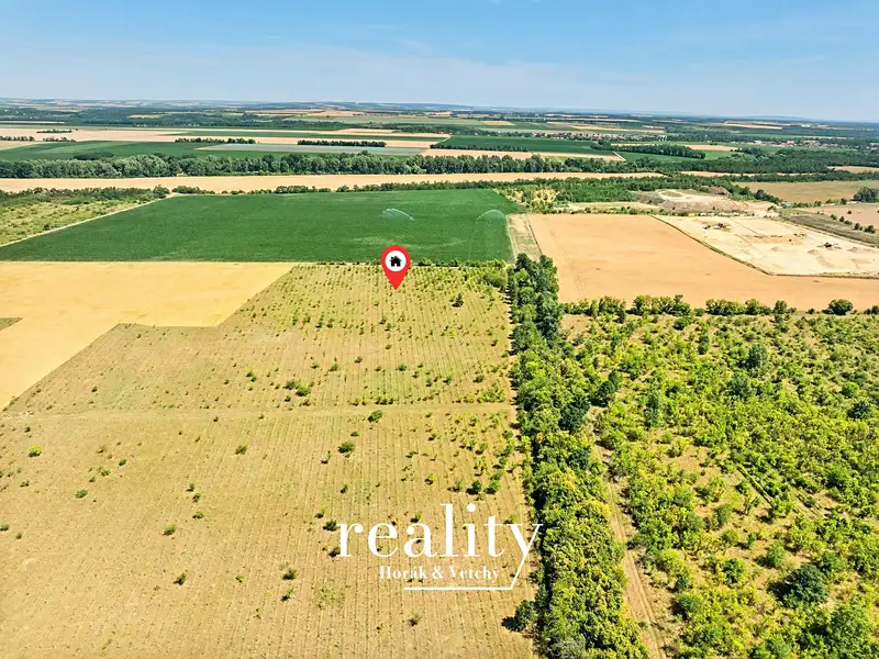 Prodej sadu, vinice 22053 m², Křídlůvky – náhled fotky 2