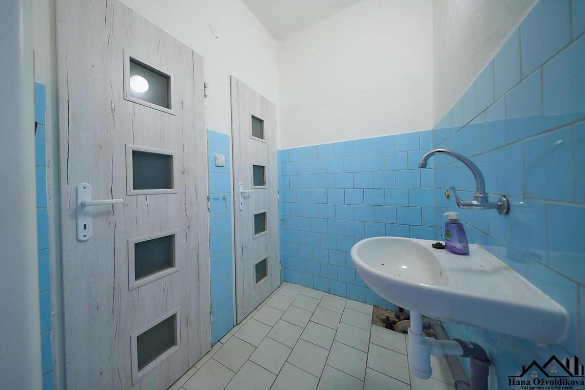 Prodej obchodního prostoru 755 m² – fotografie 2