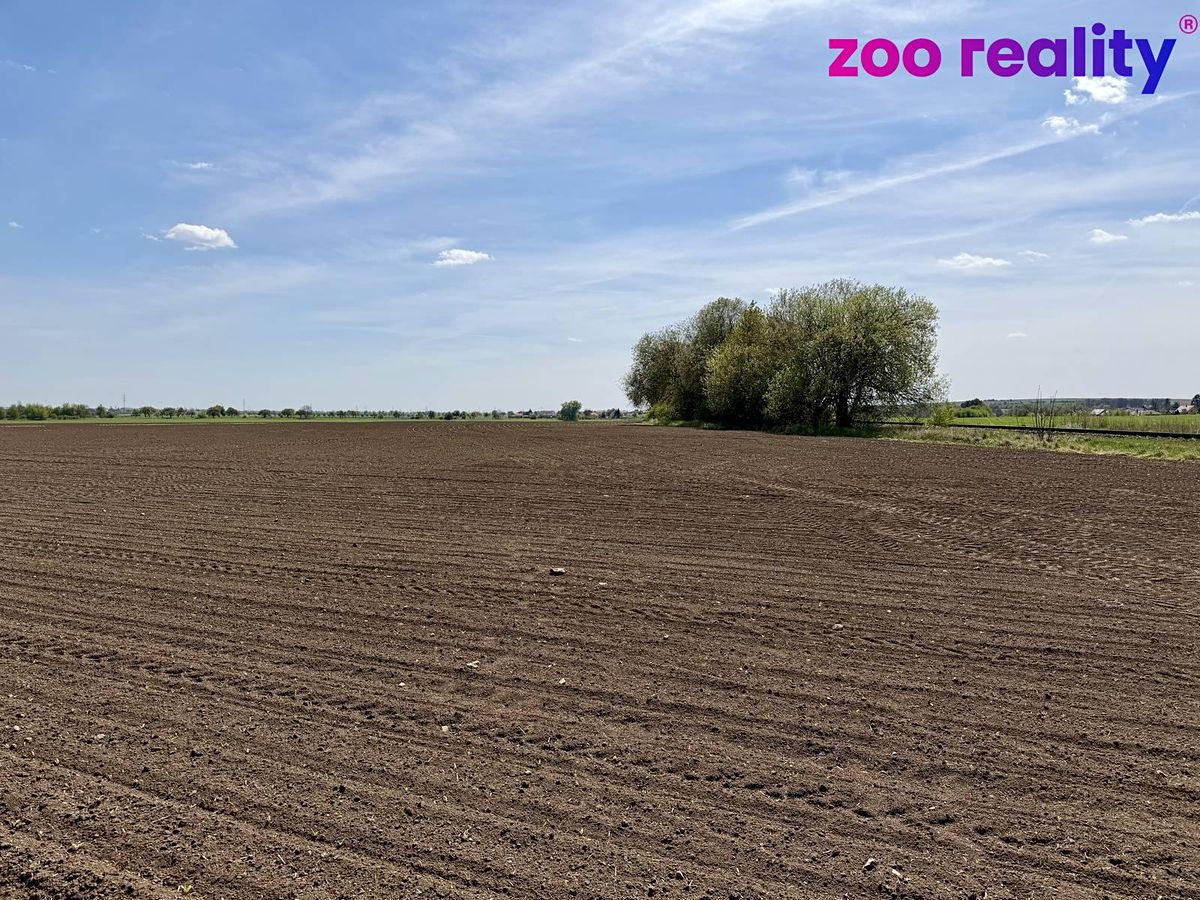 Prodej pole 16355 m²