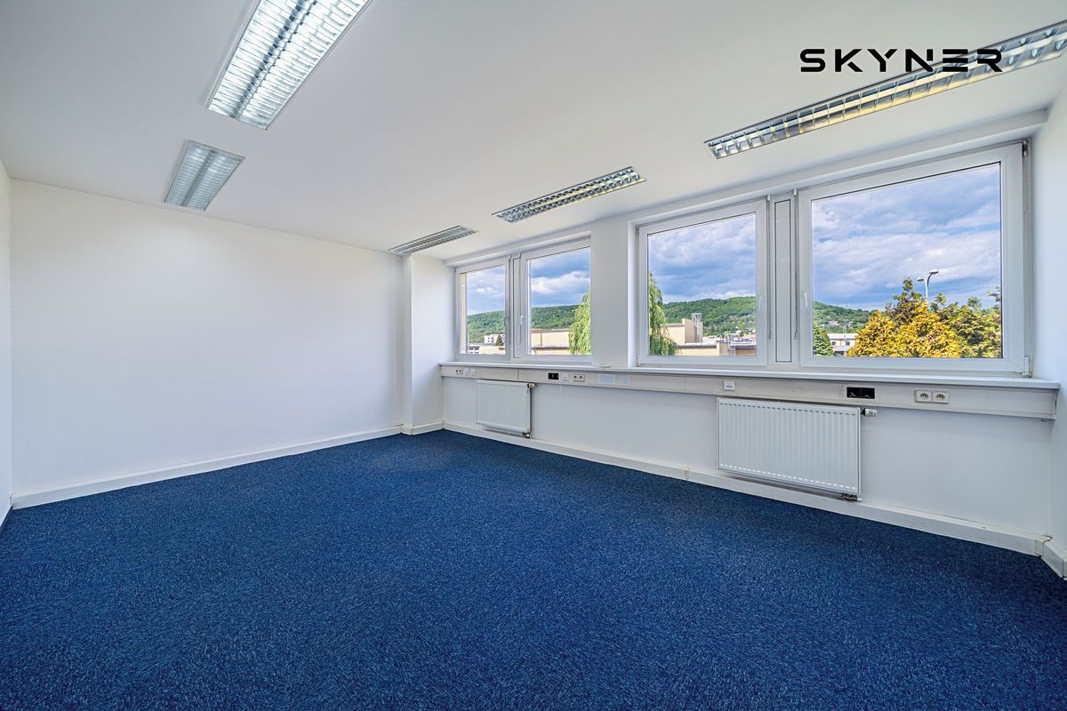 Pronájem obchodního prostoru 400 m² – fotografie 2