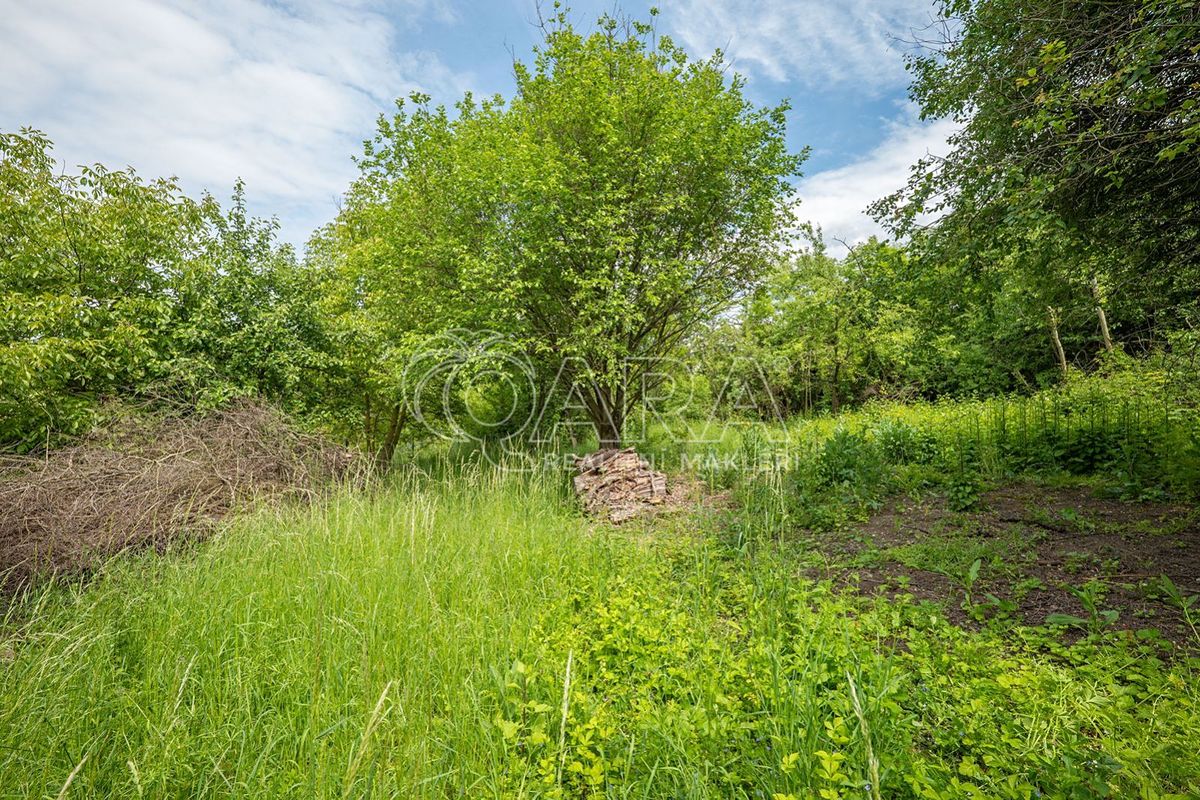 Prodej stavebního pozemku 1049 m² – fotografie 4