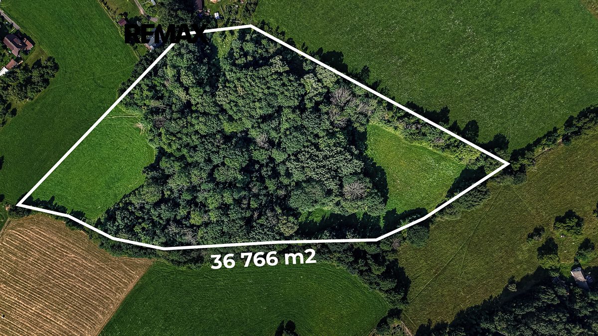 Prodej louky 36931 m²