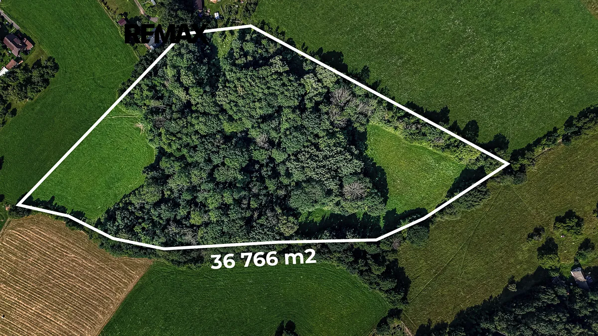 Prodej louky 36931 m²