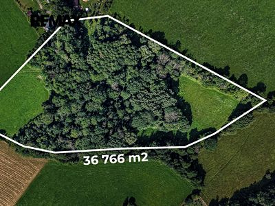 Prodej louky 36931 m²