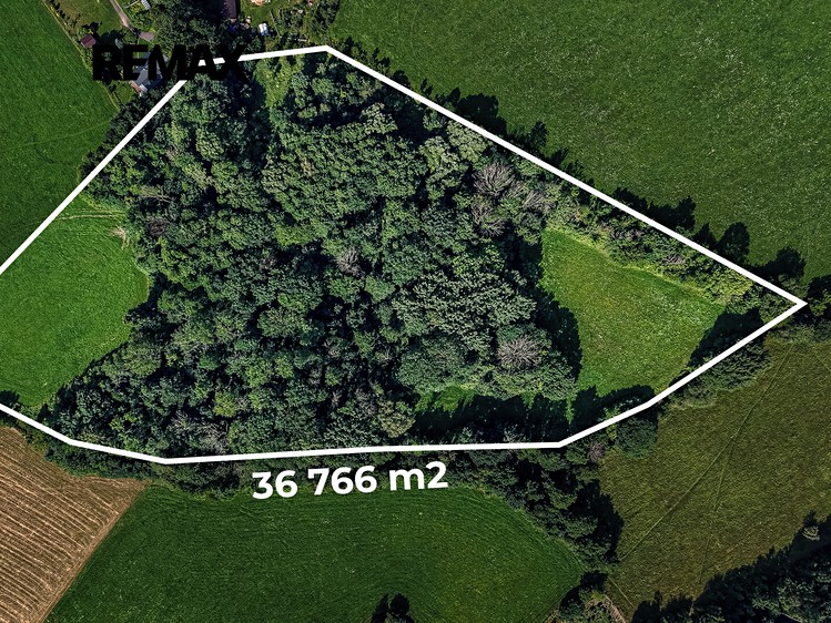 Ділянка на продаж, 36 931 м² (1 з 10)