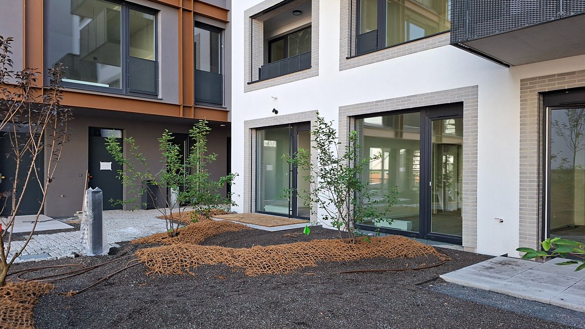 Prodej bytu 2+kk 57 m² (Jednopodlažní)