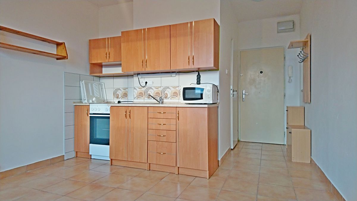 Pronájem bytu 1+1 40 m²