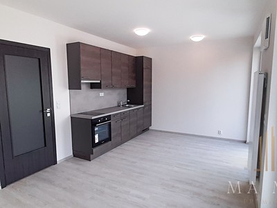Pronájem bytu 1+kk 33 m²