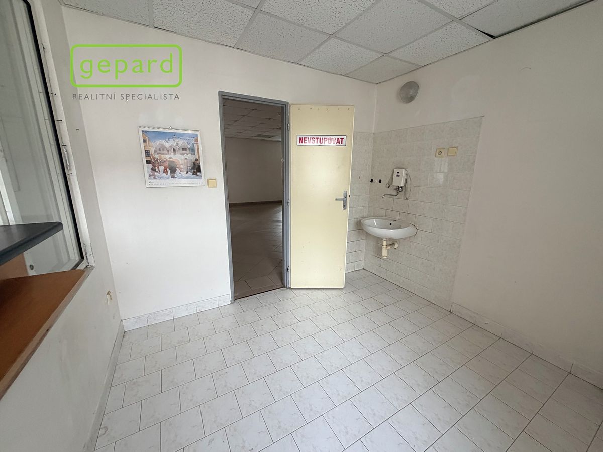 Pronájem obchodního prostoru 305 m² – fotografie 5