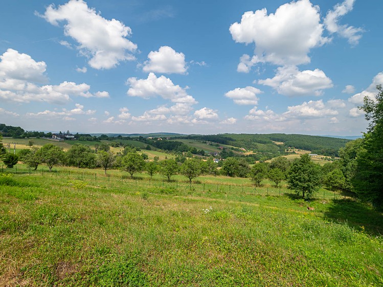 Grundstück zum Kauf, 9.586 m² (6 von 10)