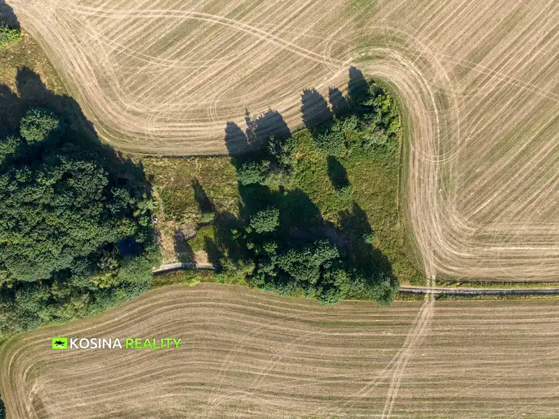 Prodej stavebního pozemku 5142 m², Jindřichovice – náhled fotky 3