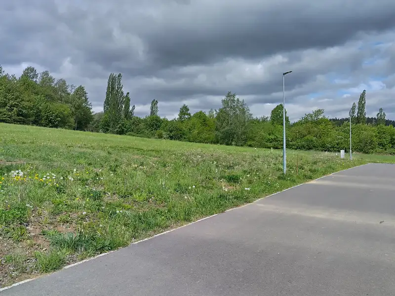 Prodej stavebního pozemku 2435 m², Dubno – náhled fotky 1
