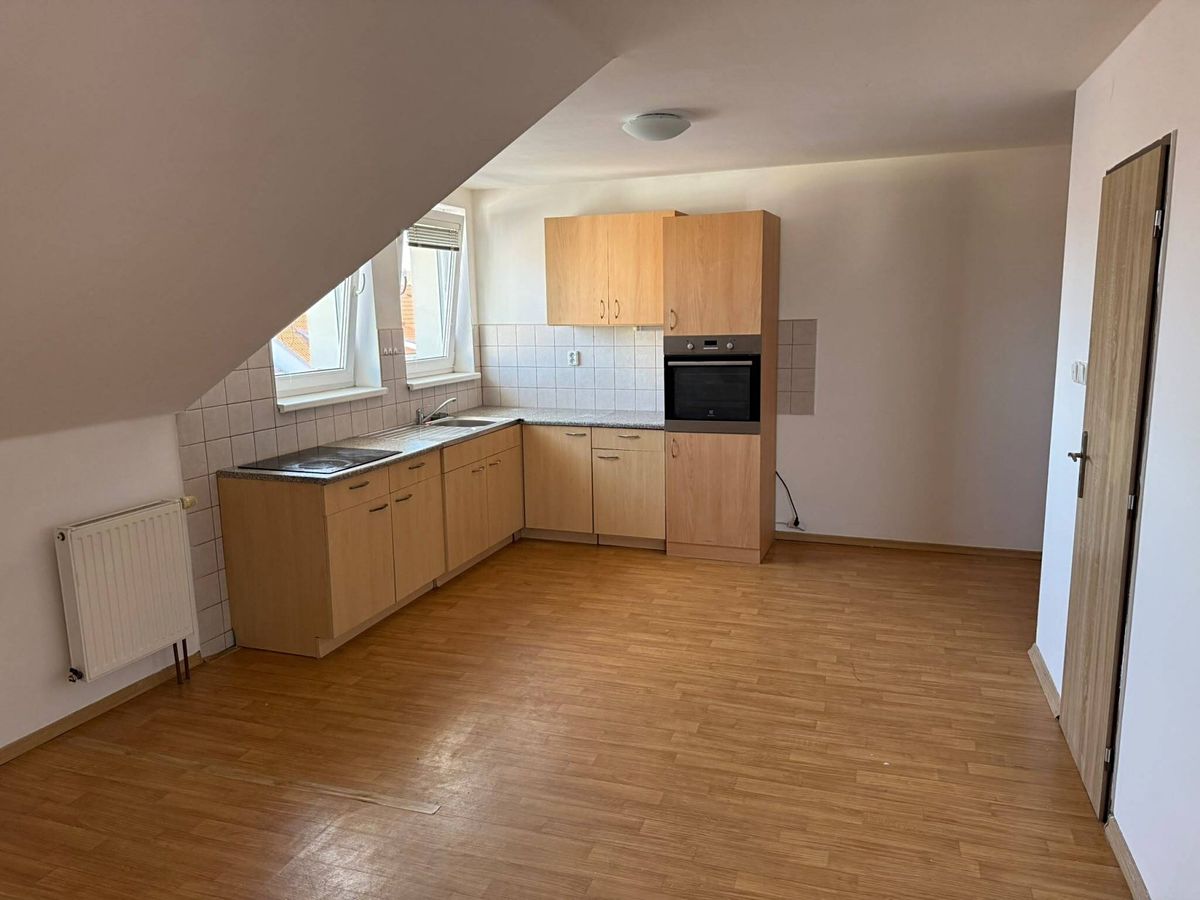Pronájem bytu 1+kk 42 m²