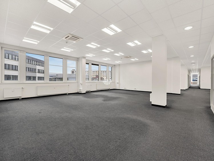 Gewerbefläche zur Miete, 390 m² (3 von 10)
