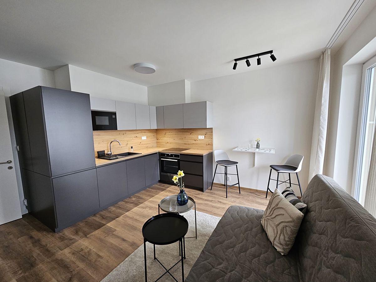 Pronájem bytu 1+kk 31 m²