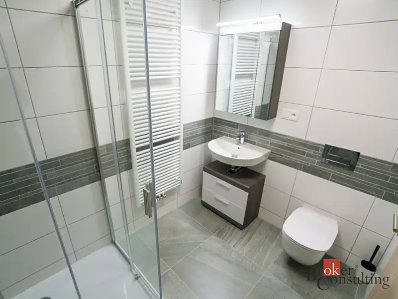 Pronájem bytu 1+kk 31 m², Plzeň – náhled fotky 3