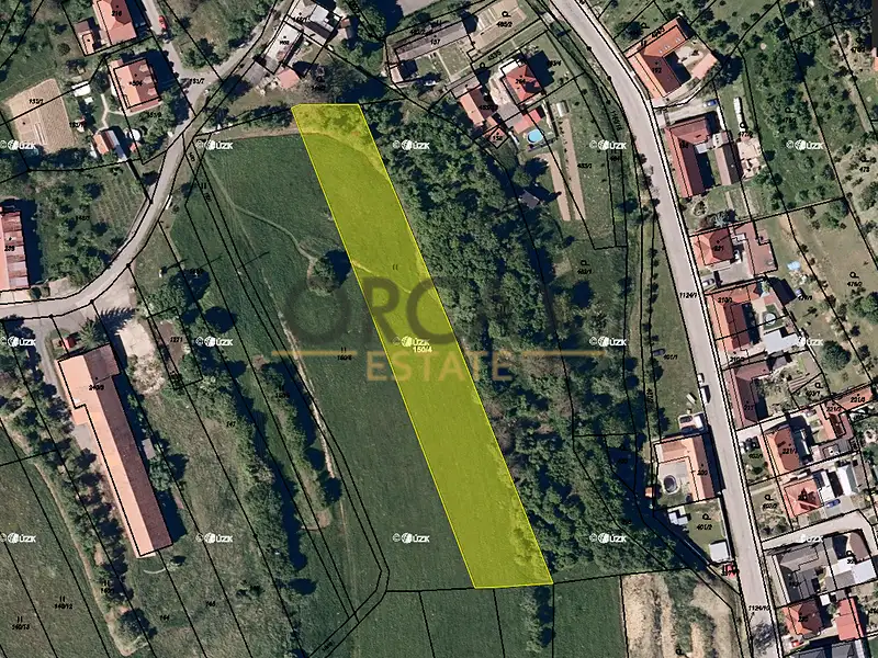 Prodej louky 3748 m², Košíky – náhled fotky 1