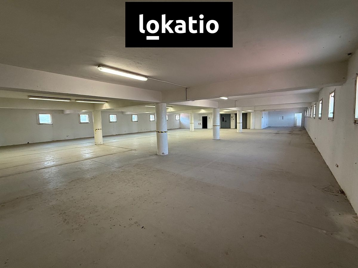 Pronájem skladového prostoru 3000 m² – fotografie 3