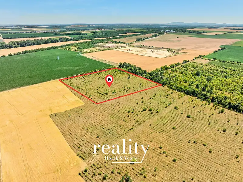 Prodej sadu, vinice 22053 m², Křídlůvky – náhled fotky 1