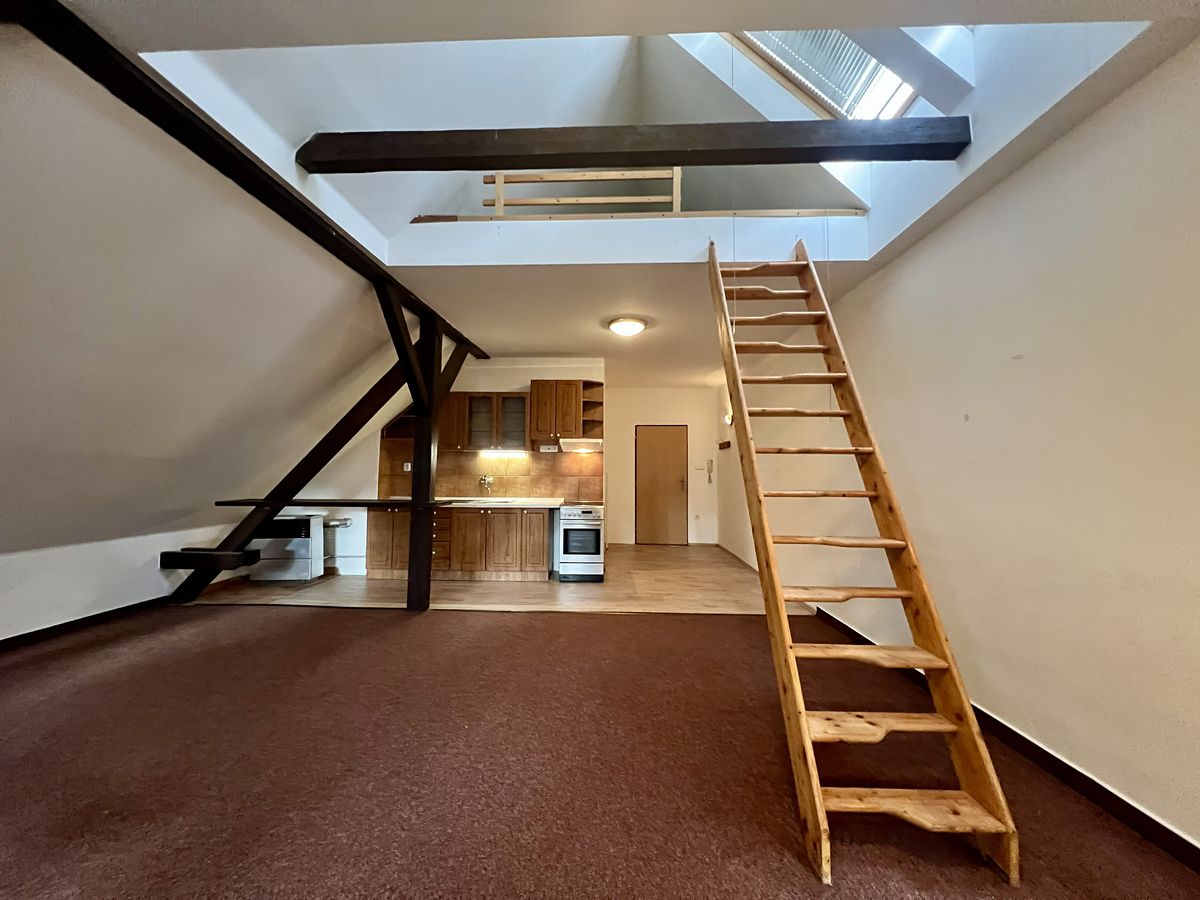 Pronájem bytu 1+kk 48 m² – fotografie 3