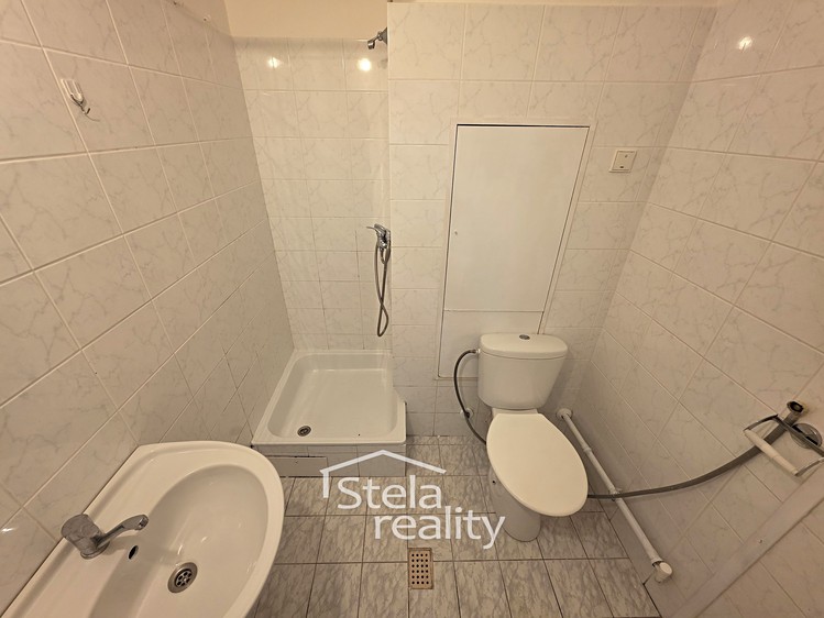 Pronájem bytu 1+kk, 29 m² (5 z 9)
