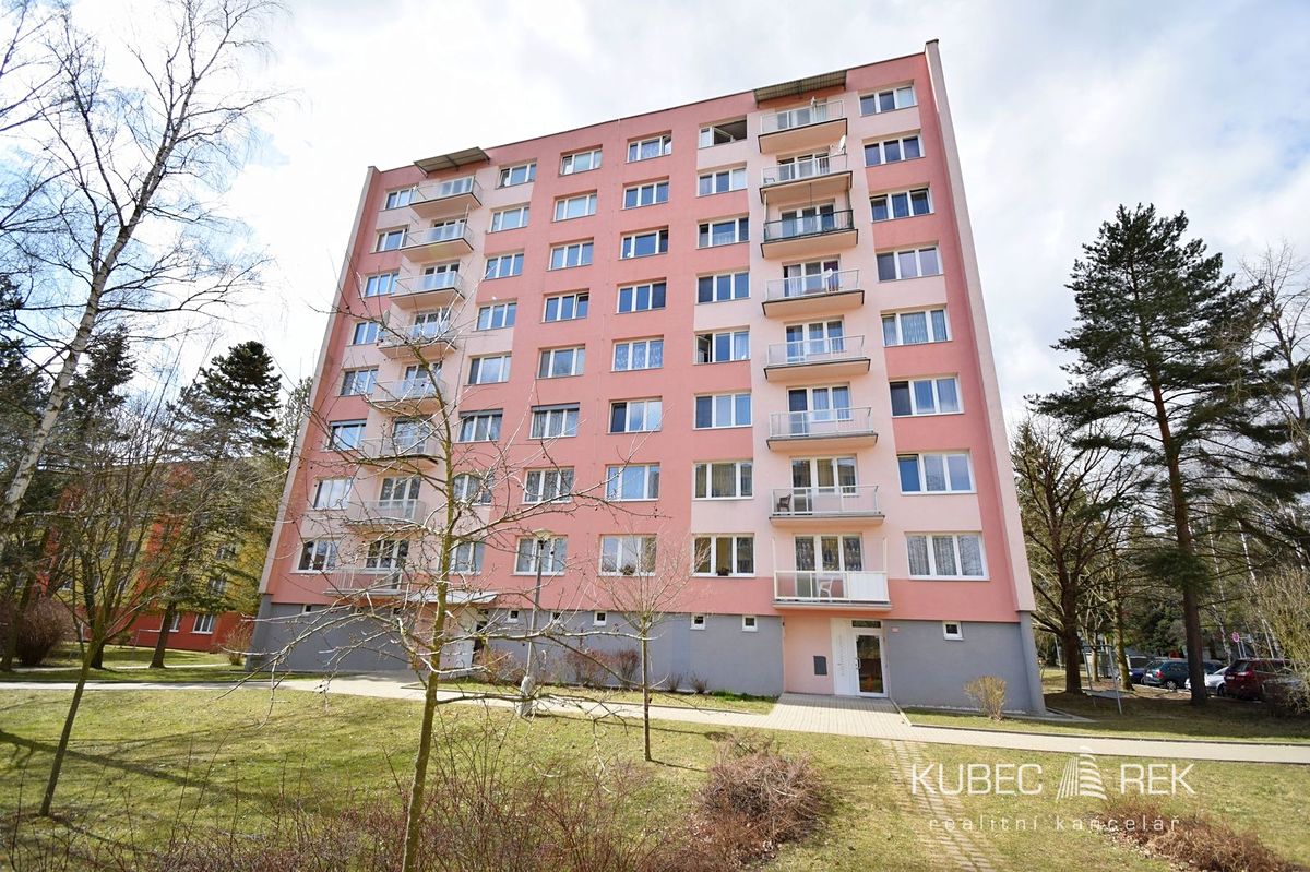 Pronájem bytu 3+1 63 m²