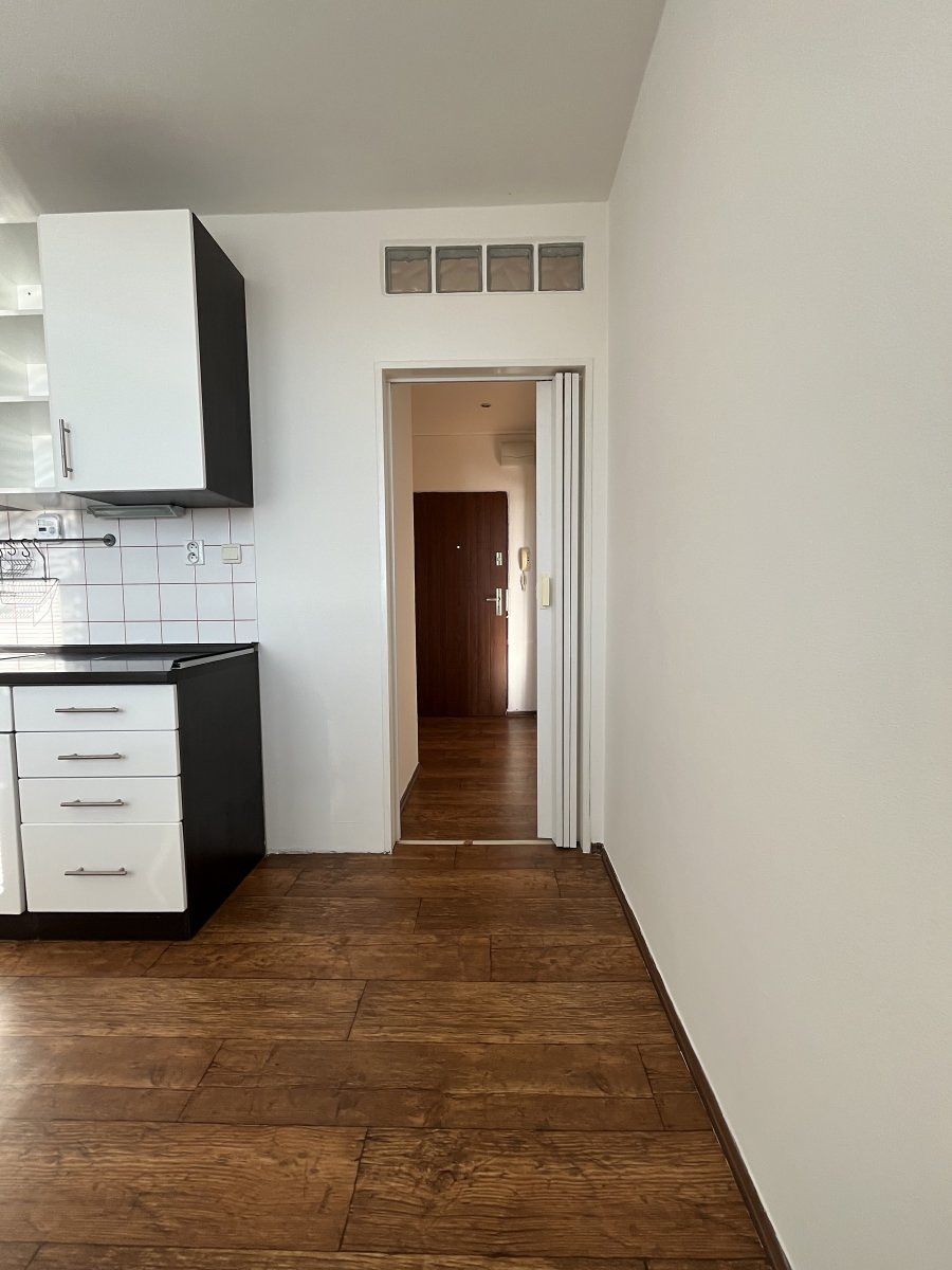 Pronájem bytu 1+1 41 m² – fotografie 4