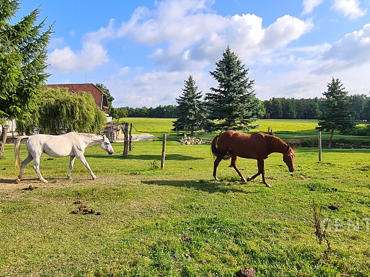 Gewerbefläche zum Kauf, 600 m² (16 von 76)