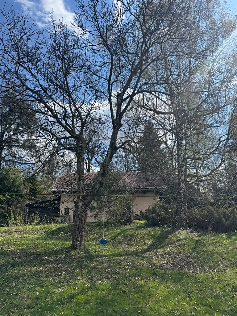 Fotka 16 z 30