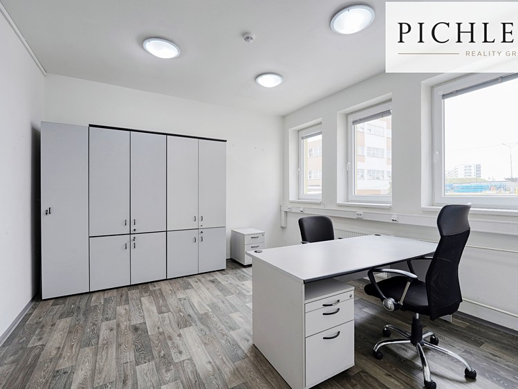 Pronájem komerčního prostoru, 255 m² (6 z 43)
