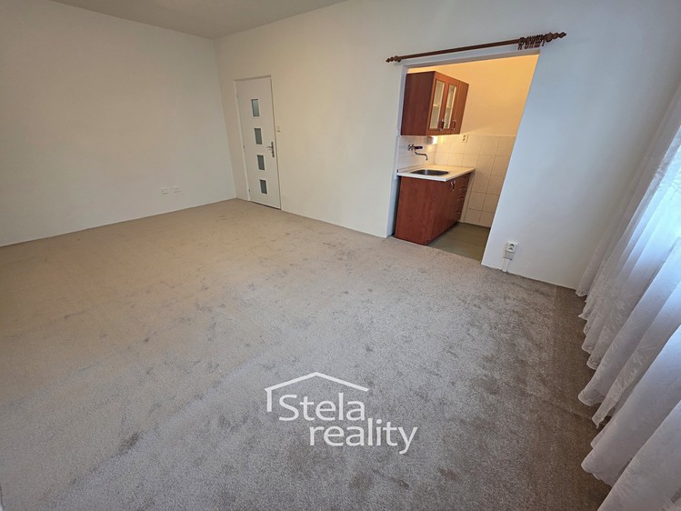 Pronájem bytu 1+kk, 29 m² (6 z 9)