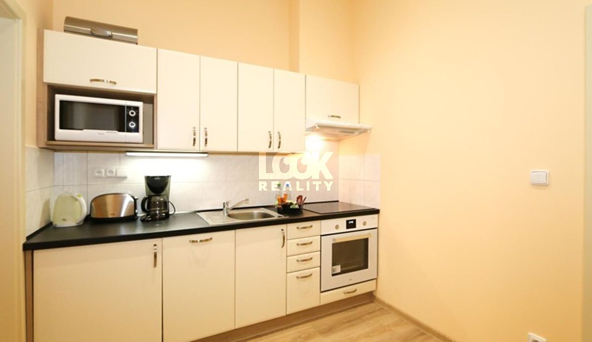 Pronájem bytu 1+1 40 m² – fotografie 4